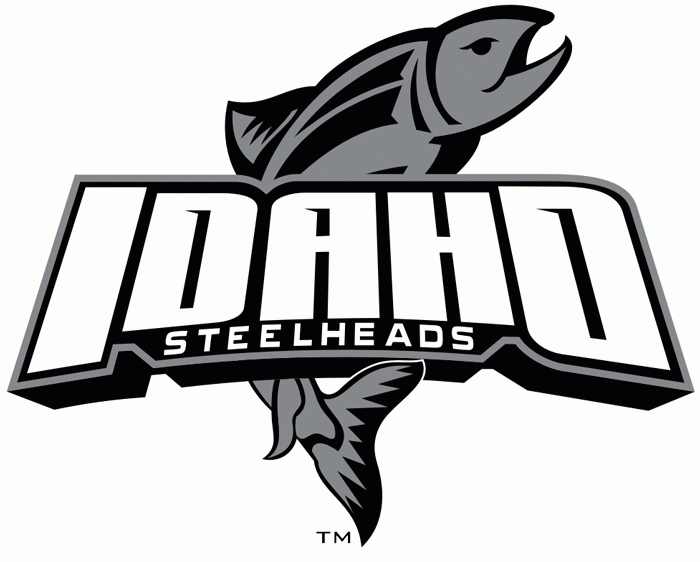 idaho steelheads 2008-pres alternate logo iron on heat transfer